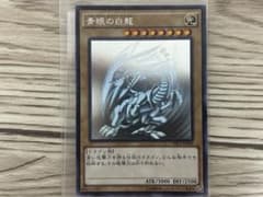 青眼の白龍　ブルーアイズホワイトドラゴン　ホログラフィックレア　TRCのサムネイル