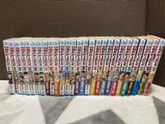 ONE PIECE （54巻〜80巻）のサムネイル