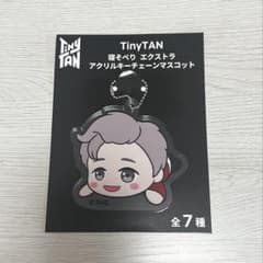 bts tinytan 남준 아크릴 키체인