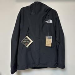 THE NORTH FACE NP61800マウンテンジャケットLのサムネイル
