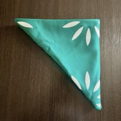 コスプレ　テニスの王子様　青学　海堂薫のサムネイル