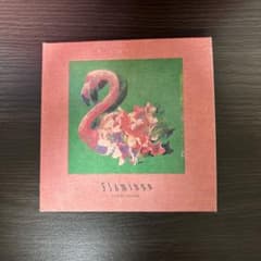 Flamingo/TEENAGE RIOT(フラミンゴ盤)のサムネイル