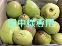 花梨　かりんのサムネイル