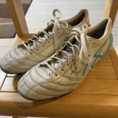 アシックス DS LIGHT X-FLY4 25.0cmのサムネイル