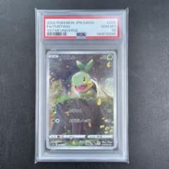 ナエトル AR[s12a 206/172] VSTARユニバース PSA10 Amazon.co.jp: ポケモンカードゲーム S12a 206/172 ナエトル 草 (AR