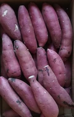 茨城県産 紅はるか 5kg 25本位のサムネイル