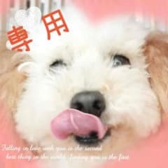 chimoさん専用のサムネイル