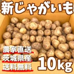 終了間近】【訳あり野菜】農家直送 新じゃがいも キタアカリ 箱込み