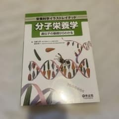 分子栄養学 : 遺伝子の基礎からわかるのサムネイル