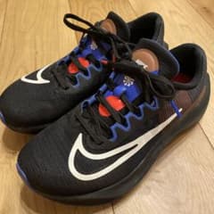 NIKE ZOOM FLY 5 HOLA LOU 25cm ズームフライ5メンズのサムネイル