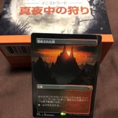 MTG日本語　憑依された峰のサムネイル