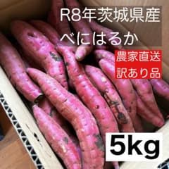 農家直送】※訳あり※だけど甘い！茨城県さつまいも紅はるか5kg 令和8