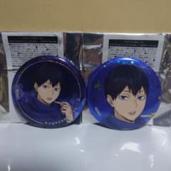 ハイキュー コスモワールド 影山飛雄 バッジ 19点セット ハイキュー コスモワールド ホログラム缶バッジ 影山飛雄 セット