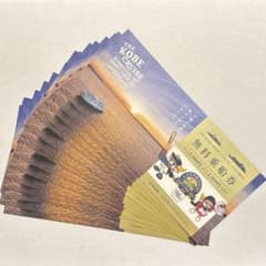 THE KOBE CRUISE コンチェルト・ルミナス神戸2 無料乗船券 20枚のサムネイル