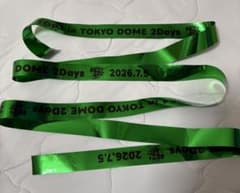TOP4 in TOKYO DOME 2Days 銀テ 7/5 牛沢 緑 フル - メルカリ