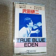 沢田研二 TRUE BLUE 他・カセットテープのサムネイル