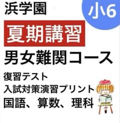 浜学園 小6 夏期講習 男女難関コース 国語、算数、理科 テスト - メルカリ