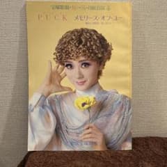宝塚歌劇 月組公演 PUCK メモリーズ・オブ・ユー パンフレットのサムネイル