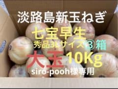 七宝早生⭕️秀品3Lサイズ10Kg ③箱⭕️淡路島新玉ねぎ たまねぎ 玉葱 