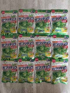 明治チューインガム ガブリチュウ ミニ メロンソーダ味 12袋セットのサムネイル