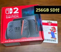 Nintendo Switch2 本体 microSDカード 256GBのサムネイル