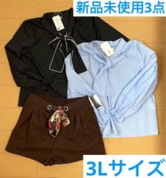 新品未使用 レディース 3L 大きいサイズ まとめ売りのサムネイル
