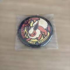 ポケモン 缶バッジ ポケふた イーブイだいすき 指宿市 ブースター