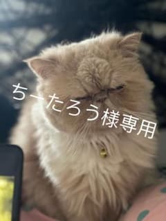ペットハンモック2枚のサムネイル