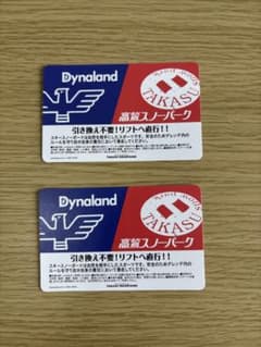 【2枚セット】高鷲スノーパーク・ダイナランド　リフト券　スキー場のサムネイル