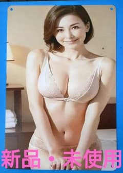 ランジェリー姿　ブリキ看板のサムネイル