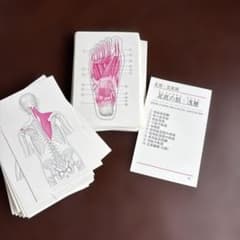 アナトミーカード 筋肉編 改訂版のサムネイル