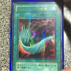 ハーピィの羽根箒 シークレットのサムネイル