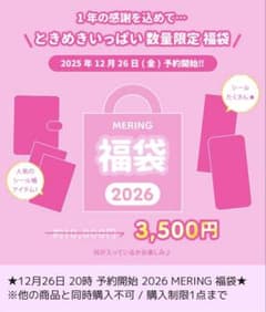 メリング MERING 福袋 シール福袋のサムネイル