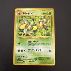 キレイハナ ポケモンカード 旧裏面のサムネイル