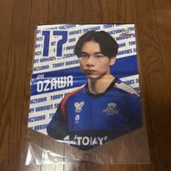 東レアローズ 静岡 小澤宙輝 タペストリーのサムネイル