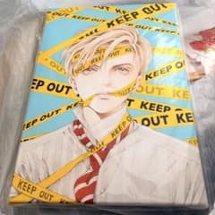 清水玲子 原画展 秘密 キャラファインボード キャンバスボード - メルカリ