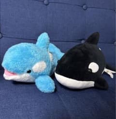 m71033953877_1.jpg?1727259557