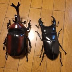 カブトムシ　ヒラタクワガタ　ビッグフィギュアのサムネイル