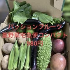 パッションフルーツ 夏野菜詰め合わせ 宅急便コンパクト 980円のサムネイル