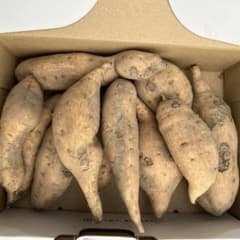 【訳あり品】 安納芋 黄金 11本 箱込み1.2kgのサムネイル