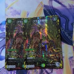 ブラキオ龍樹 2枚のサムネイル