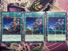 同胞の絆　ノーパラSR05-JP030のサムネイル