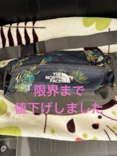 ✈*︎様 【再出品】明日まで、ノースフェイスショルダーバッグのサムネイル