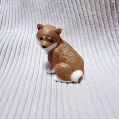 ふり向けば君が・・・犬～歩み～【柴犬】のサムネイル