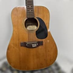 GRECO 12弦アコースティックギター - メルカリ