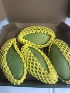 タイ産のグリーンマンゴー　4個入りのサムネイル