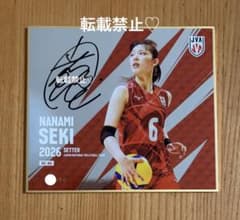 バレーボール女子日本代表 関菜々巳 トレーディングmini色紙 シークレット バレーボール女子日本代表 関菜々巳 トレーディングmini色紙