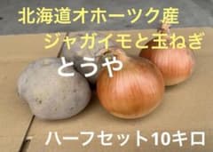 北海道オホーツク産 ジャガイモ とうや 玉ねぎ ハーフセット 10キロのサムネイル