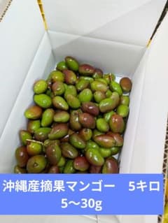 沖縄産摘果マンゴー5キロXoài xanh5〜20g - メルカリ