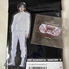 Stray Kids VR アクリルスタンド チャンビン スキズのサムネイル